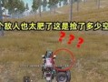 和平精英最新爆料解说,全新玩法与角色，带你领略战场新篇章