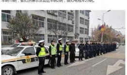 黑车最新爆料视频大全,最新动态大盘点