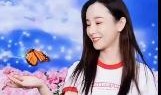 娱乐爆料张檬视频大全最新,娱乐圈风云再起，真相揭秘