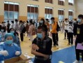 最新橙皮爆料消息新闻,揭秘游戏界神秘新动态